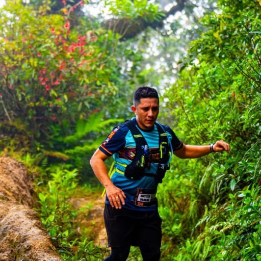 Wayller Vargas Sandoval